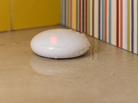 Flood detection device