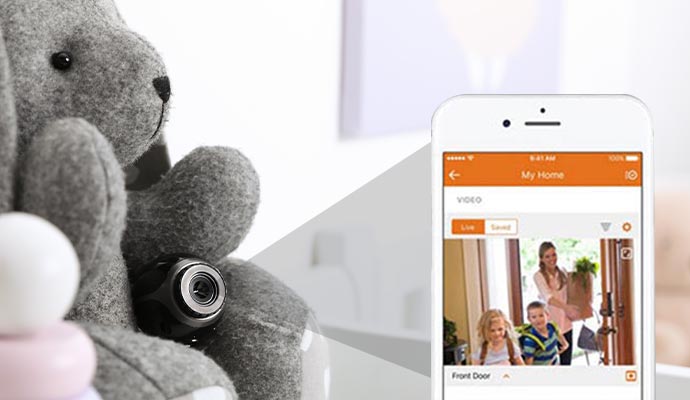 Hidden security camera in a toy